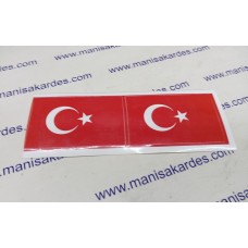 Bayrak Dikdörtgen 15x6 mm  2 li Takım