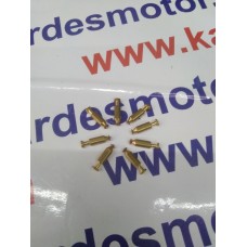 Şamandıra İğnesi (3.8x15.8 mm) Rus Malı Planet 5 Motosiklet Karbüratör Uyumlu  (Ucundaki Lastik Dahil)